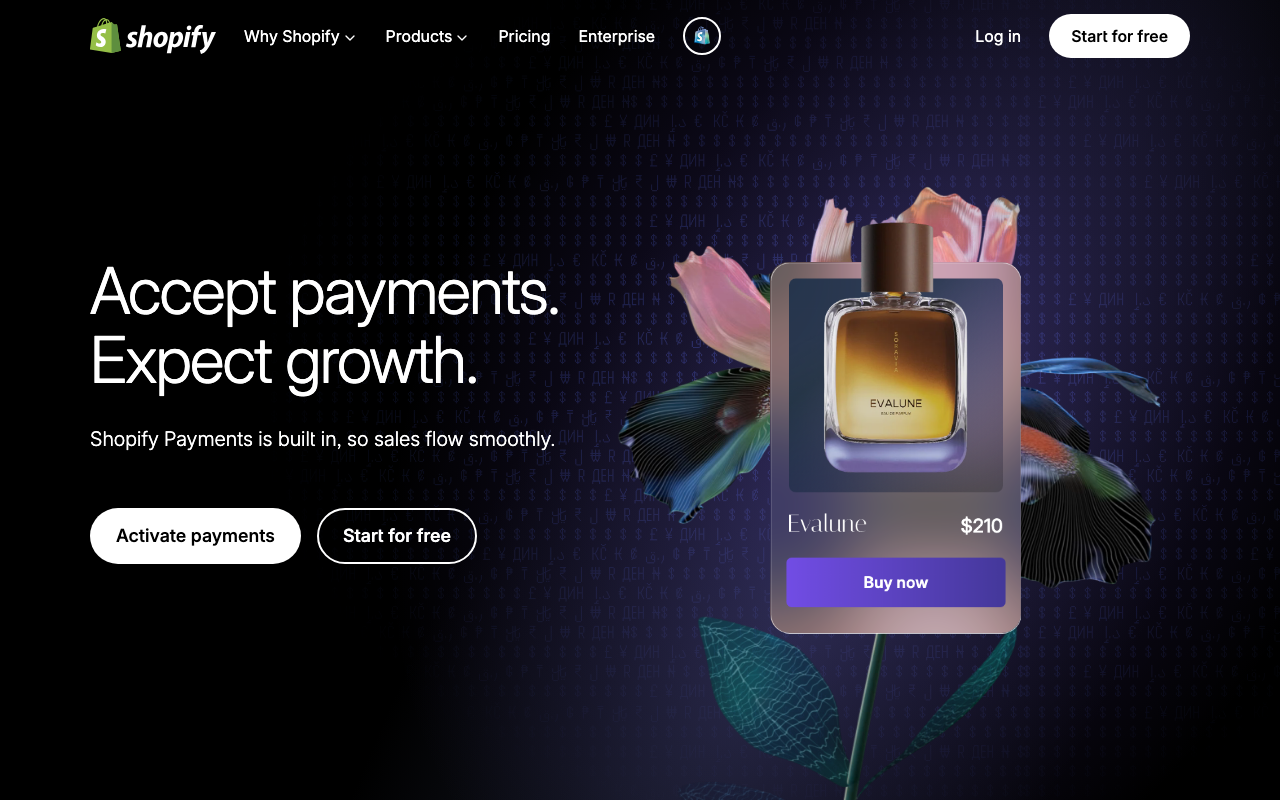 Страница Shopify Payments